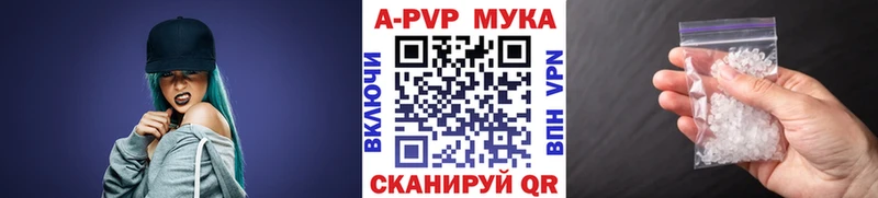 A PVP СК  Старая Русса 