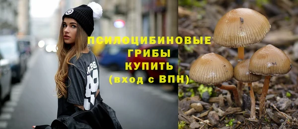 гидра Балахна