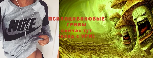 гидра Балахна
