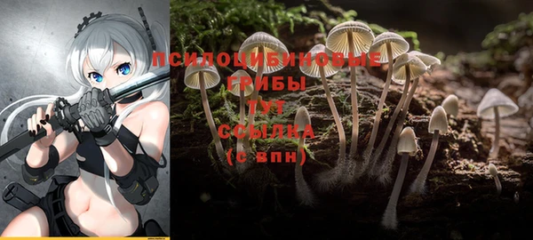 кокс Баксан