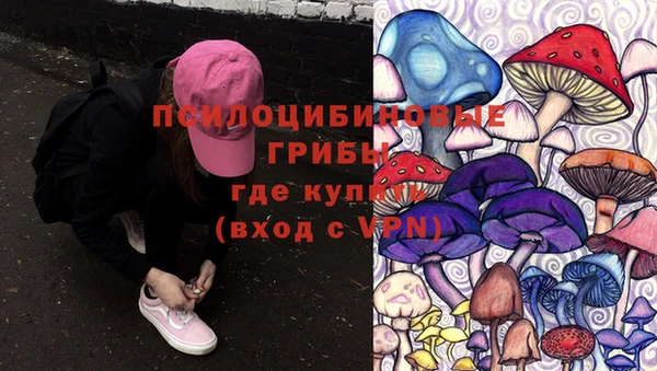 гидра Балахна