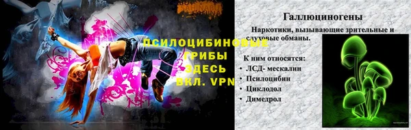 гидра Балахна